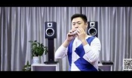 高峰爆料侯震视频,揭秘背后惊人真相