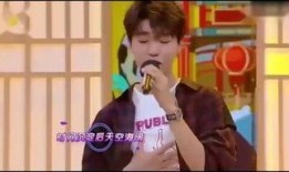 有种在线观看,揭秘热门剧集背后的故事与魅力