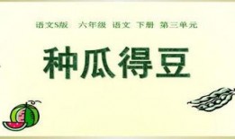 吃瓜的ppt免费,PPT中的趣味生活洞察