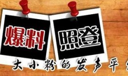 重庆爆料最新新闻,揭秘城市热点事件背后的真相