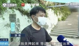 说唱网红吃瓜,揭秘娱乐圈幕后风云