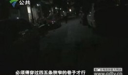 最新深圳王先生爆料,揭秘某神秘事件背后真相