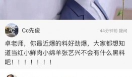 卓伟爆料成龙视频大全集,成龙视频大全集幕后真相大曝光