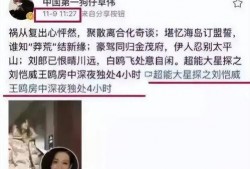 刘大锤爆料猛料最新视频,独家猛料震惊娱乐圈！