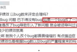 程序员爆料视频,揭秘软件开发的背后真相