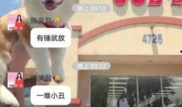 小姐姐最新爆料图片,惊艳瞬间，美得让人心动