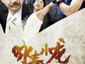 咏春小龙在线观看,在线领略正宗国术风采