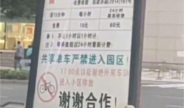 停车场最新爆料视频下载,视频曝光惊人内幕