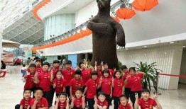 文武学校爆料视频大全,爆料视频大全背后的真实故事