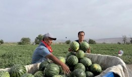 廊坊吃瓜视频最全免费观看,免费观看，一网打尽热门趣事