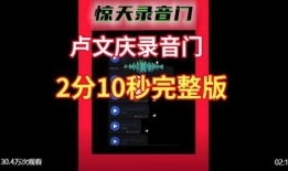 录音爆料视频,事件背后惊人真相