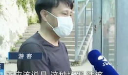 说唱网红吃瓜,揭秘娱乐圈幕后风云