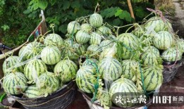 徐州吃瓜网红是谁啊图片,揭秘其爆红背后的故事