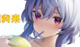 须弥爆料内鬼是谁啊视频,真相背后的神秘人物