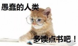 暴发户养崽吃瓜日常全文免费,吃瓜日常的欢乐与泪水