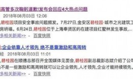 碧桂园爆料最新消息,揭秘项目进展与未来规划