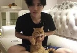 鹿晗评价美食爆料视频,一场味蕾与视觉的盛宴