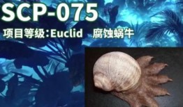 超自然生物爆料视频,超自然现象视频曝光背后的惊人真相