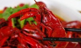 龙虾最新爆料新闻内容,揭秘幕后真相，行业乱象引发热议