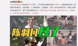 青哥影视爆料大全最新版,揭秘娱乐圈最新动态与幕后故事