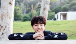 陈立农隐藏爆料视频播放,隐藏爆料背后的惊人真相