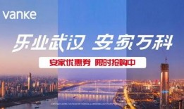 武汉万科爆料最新消息新闻,揭秘项目进展与未来规划
