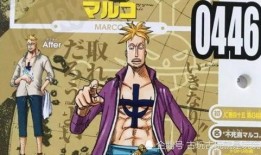 海贼王白胡子最新爆料