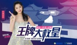 大美智善爆料视频大全,热点事件背后的真相与思考