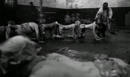 人体蜈蚣手机在线观看,惊悚悬疑，手机在线观看，揭秘人体极限