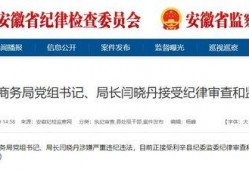 利辛新闻爆料最新消息,最新爆料揭示惊人事件，详情即将揭晓！