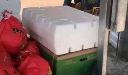 灵山同城网最新爆料信息,揭秘最新热点事件内幕