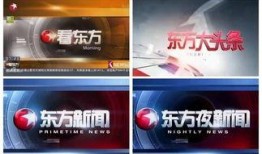 东方卫视 新闻爆料