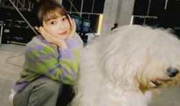 爆料娱乐圈虞书欣是谁,揭秘爆红新星背后的故事